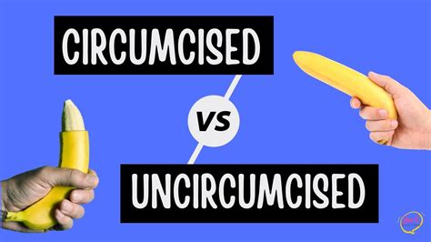 penis necircumcis|What to Know About Circumcised vs. Uncircumcised。